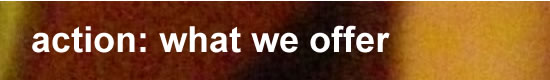 action: what we do